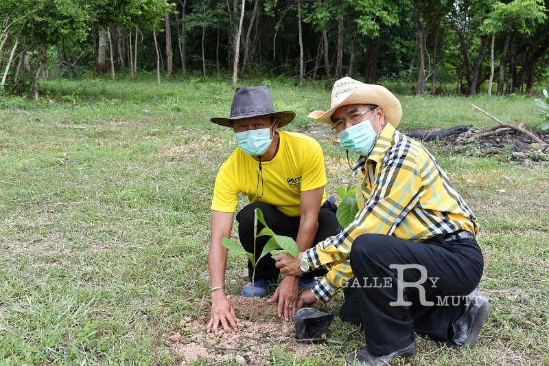 20210526-Tree planting dayt-072.JPG